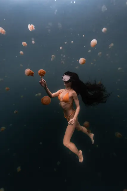 水下珊瑚礁與海龜
