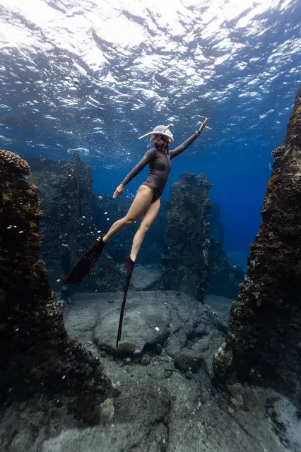 綠島清澈水下燕魚